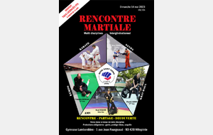 STAGE INTER DISCIPLINES
